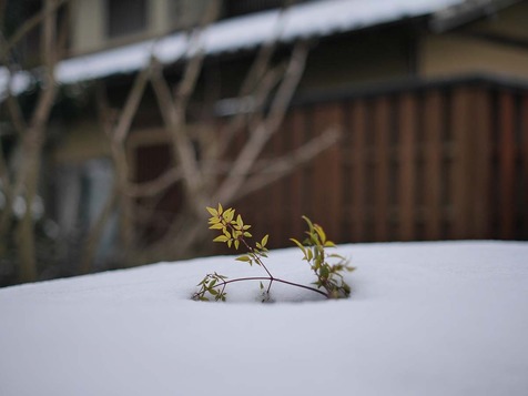 21.2.184.jpg