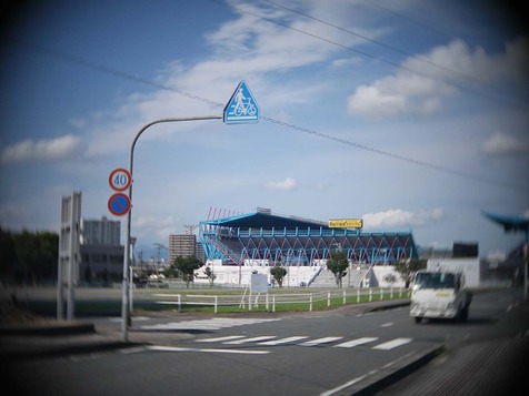 21.8.203.jpg
