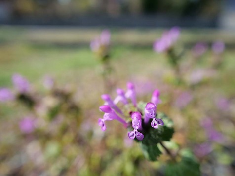 23.2.122.jpg