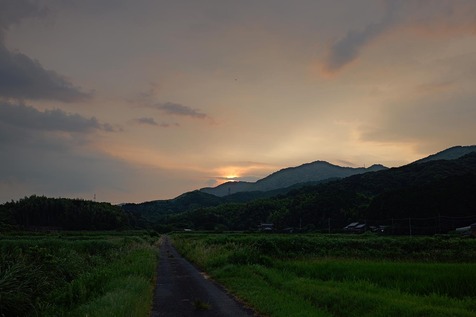 24.8.142.jpg