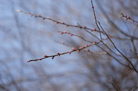25.1.311.jpg