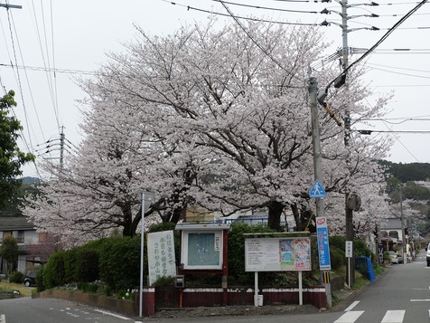 25.3.294.jpg
