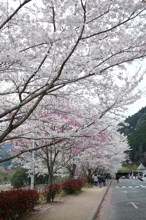 25.4.2-7.jpg