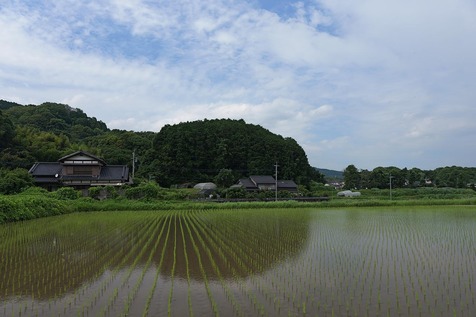 25.6.262.jpg