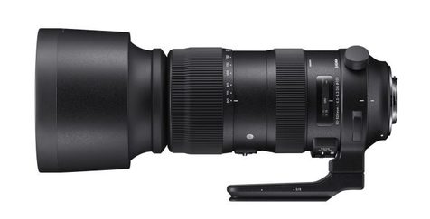 60-600mm-683x350.jpg