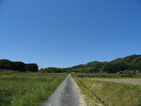 P1002086.jpg