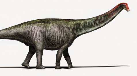 brontosaurus.jpeg